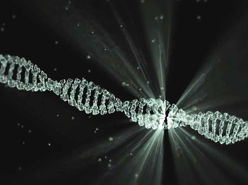 Biomedical Breakthroughs